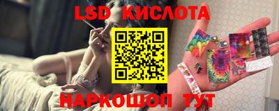винт Владимир