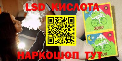 винт Владимир