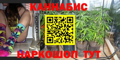 винт Владимир
