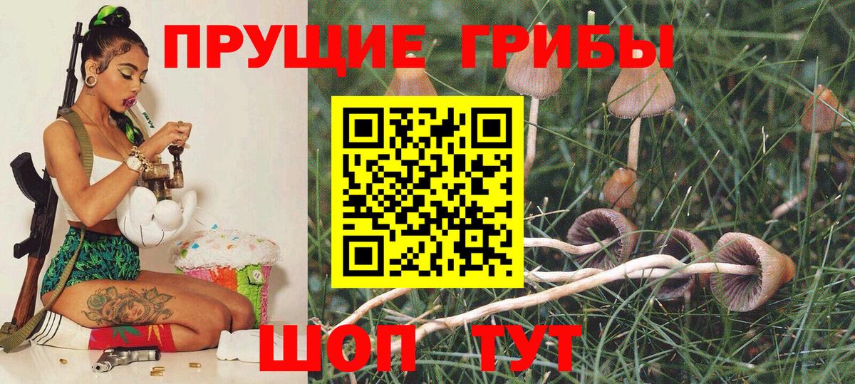 Канабис  Вход с VPN  ТГК  Новороссийск  A PVP СОЛЬ кристаллы  Каннабис  Меф МЯУ МЯУ   ГАШ 
