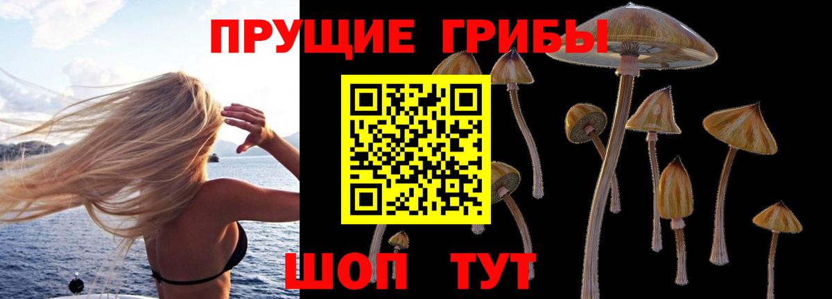 Новороссийск  Псилоцибиновые грибы ЛСД  Вход с VPN 